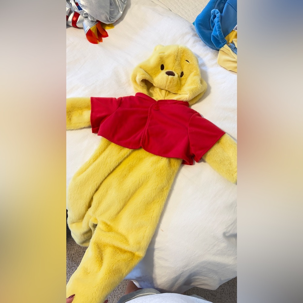 Winnie the Pooh costume